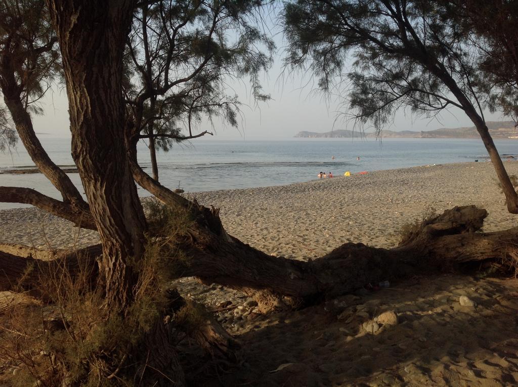 Hotel Petras Beach Сития Экстерьер фото
